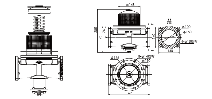 Internal Valve 3 photo